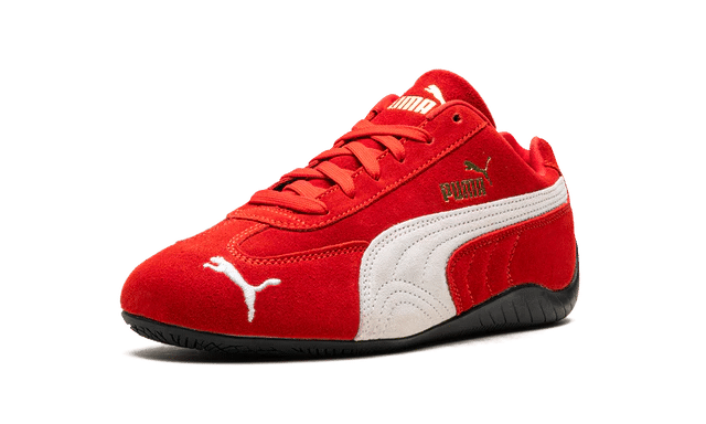 imgi_8_1md2dmcuxsvtqtn1li5b4pof1rmj